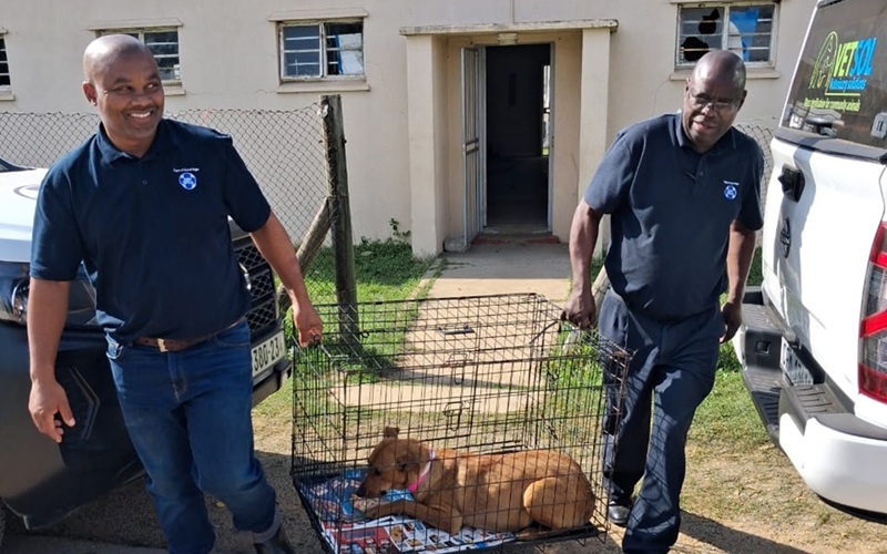 spca1