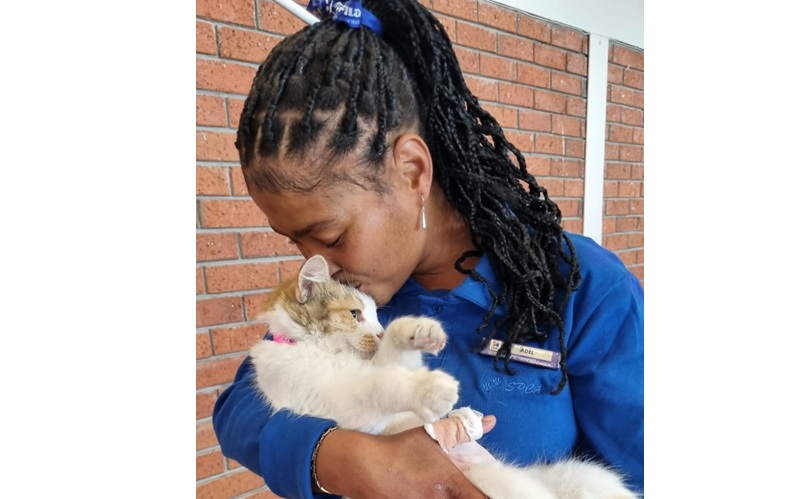spca2