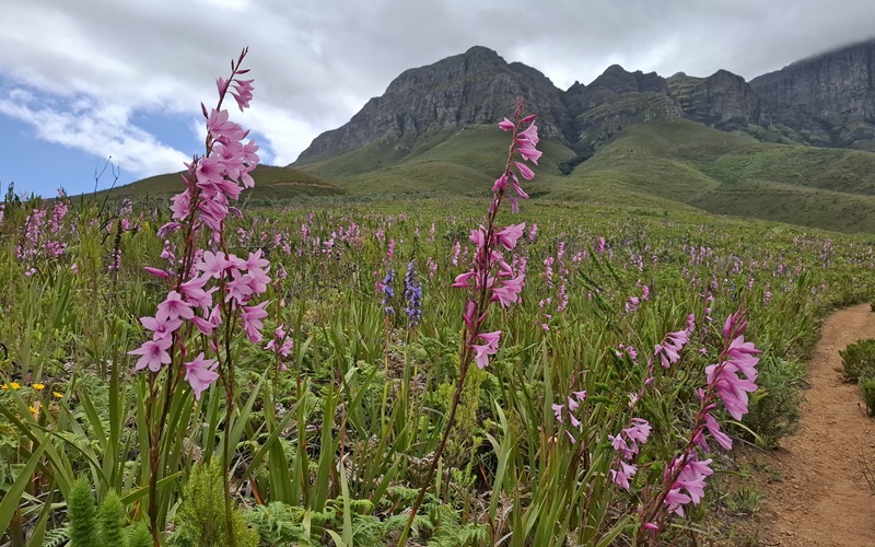 Free access to City nature reserves over Heritage weekend
